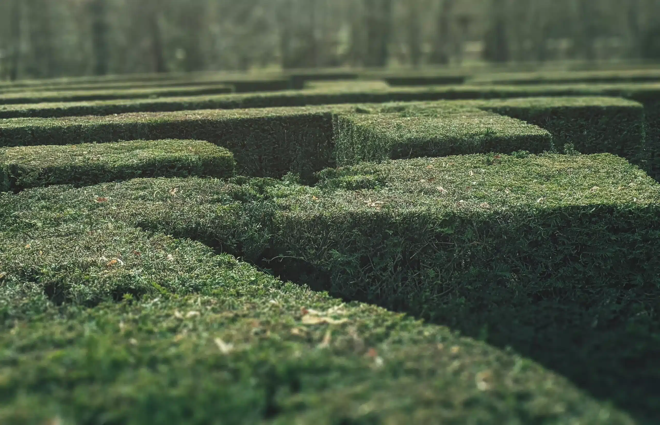 A labyrinth that reflects the difficulty of managing the double accounting of scope 3 emissions