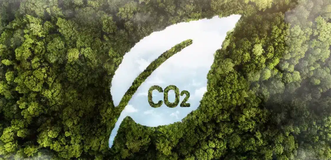 A leaf shape with ‘CO2’ above a forest symbolising the carbon accounting