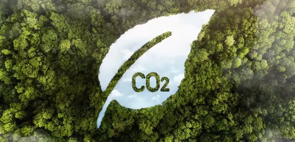 Une forme de feuille avec "CO2" au dessus d'une forêt symbolisant le bilan carbone