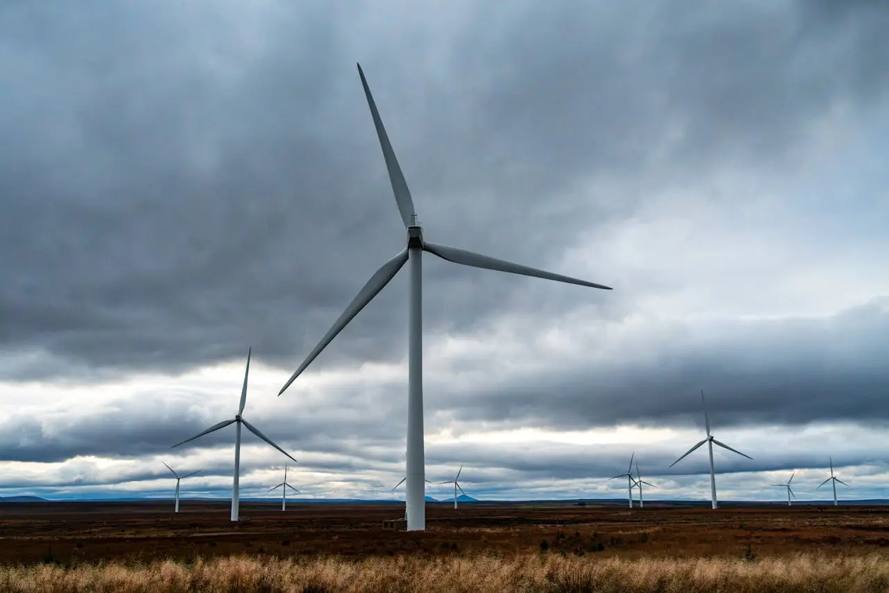 Belgique : Aides et subventions pour la transition écologique