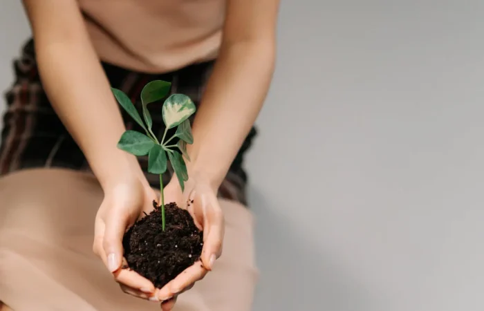 Qu’est-ce que la transition écologique ?