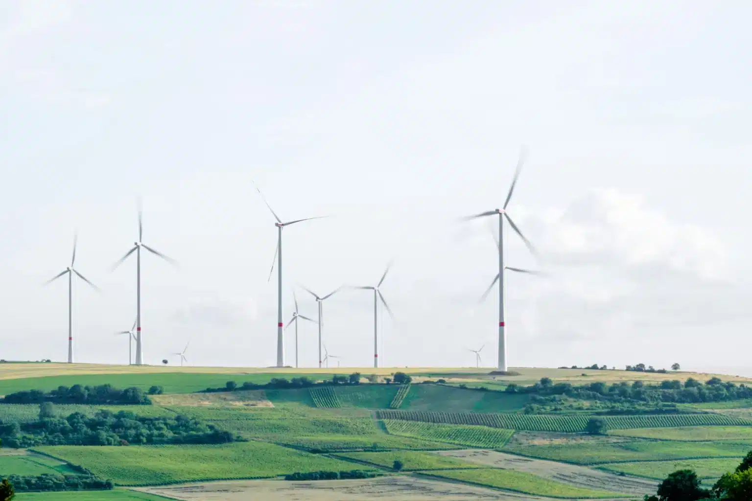 A set of wind turbines representing environmental responsibility
