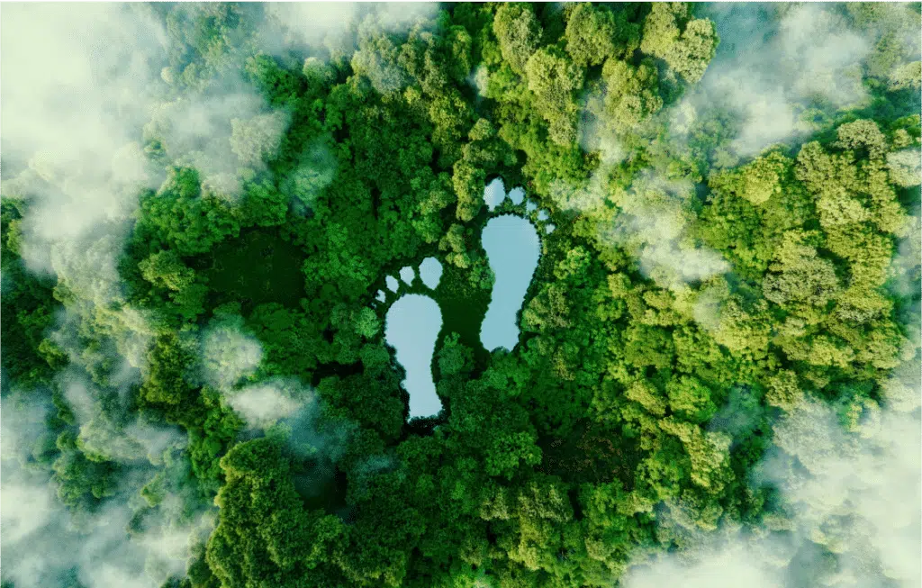 environmental footprint definition