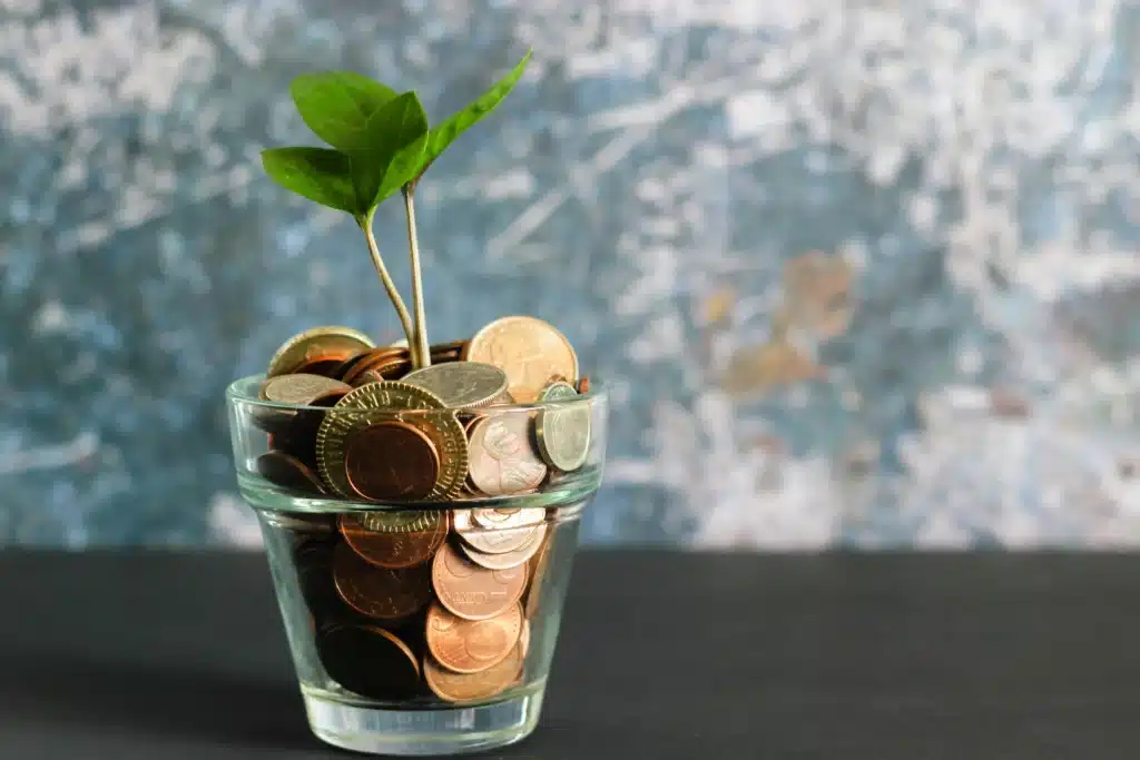 a flowerpot filled with coins to grow a plant representing the cost of carbon balance software